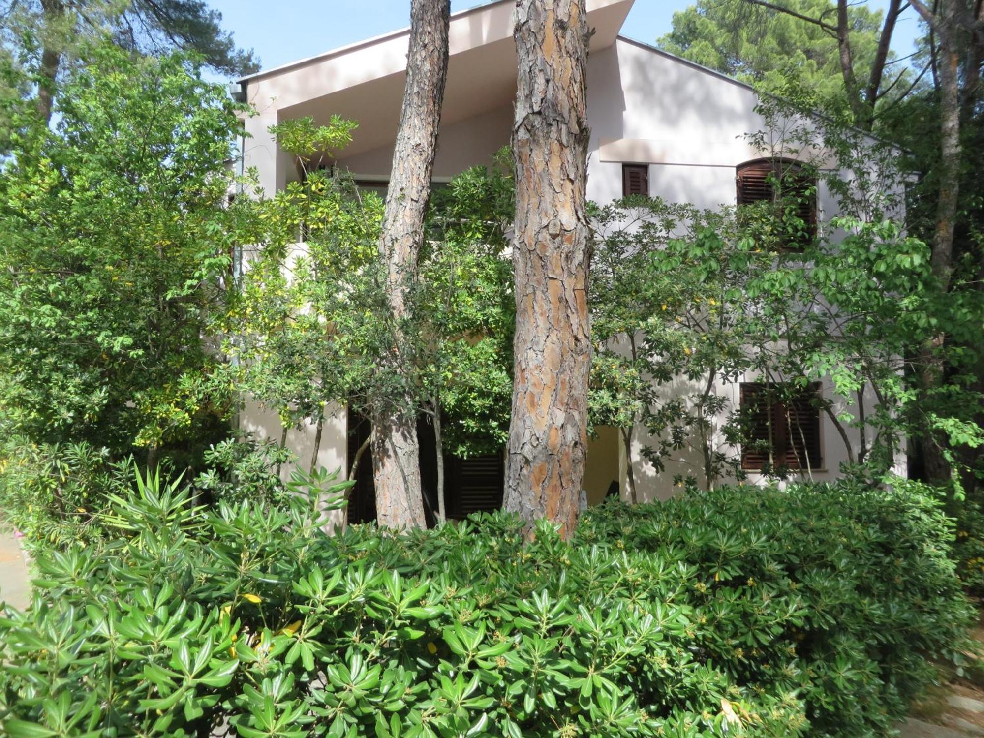 Soline Beach Apartments بيوغْغاد نا موغو الغرفة الصورة